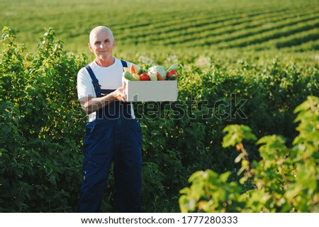 Similar – Foto Bild junger Mann Agronom, der einen Kürbis hält.