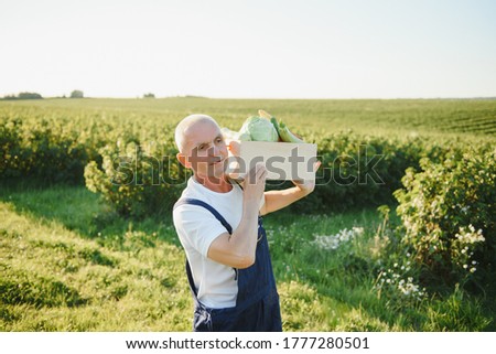 Similar – Foto Bild junger Mann Agronom, der einen Kürbis hält.