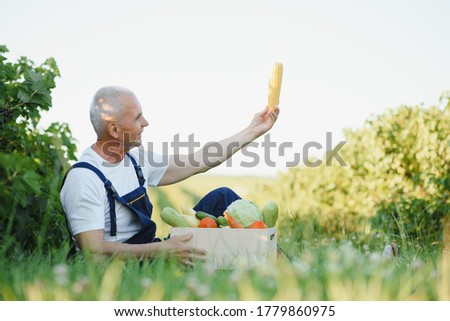 Similar – Foto Bild junger Mann Agronom, der einen Kürbis hält.