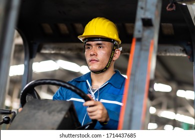 Man At Work. Professional Operation Engineering. Young Asian Worker Forklift Driver Wearing Safety Goggles And Hard Hat Sitting In Vehicle In Warehouse