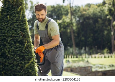 Man Worker Cutting Bushes With An Electric Saw In The Yard