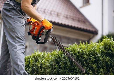 Man Worker Cutting Bushes With An Electric Saw In The Yard