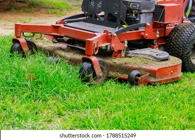 Man Worker Cutting Grass In Summer With A Professional Gardener Mowing Lawn