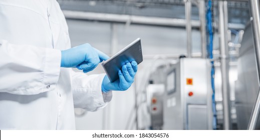 Man Worker Holding Tablet Computer Checking Production Line Dairy Factory Food Industry. Copy Space Banner.