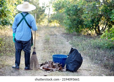 Man Worker Holds Broom ,basket And Black Garbage Bag, Equipment To Get Rid Dry Leaves In Garden. Concept : Cleaning Garden. Forest Fire Prevention. Use Dry Leaves To Make Compost. Environment Protect.