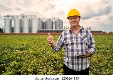  Man Worker With Safety Helmet On The Field Showing Thumbs Up, Silos In The Back. Soy Beans Fields