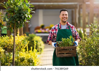 Man Working In Garden Center
