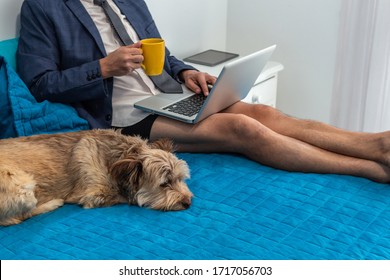 Man Working Looking At His Computer On His Bed From Home With Dress Suit And Boxer Shorts Next To His Dog