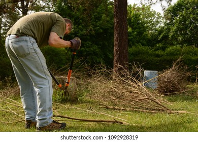 Man Working On Yard Cleanup