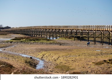 Man working in the Quinta do Lago Bridge area in Ria Formosa Park