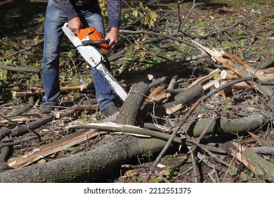 A Man Works With A Chainsaw On Sawing Up A Tree Trunk.