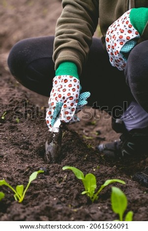 Similar – berry picking Food Fruit