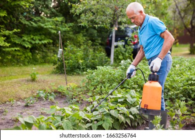 Man Works With Garden Spray In The Yard