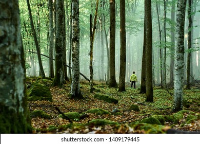 A Man In A Yellow Raincoat Stands In A Foggy Forest Without A Road. Lost In The Woods.