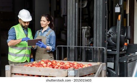 Management Of Movement Of Products In Modern Warehouse, Mobile App And Modern Tech For Work And Loading. Friendly Young Female In Uniform And Gloves Shows Tablet To Guy Worker In Helmet Near Forklift