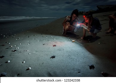 MANAGUA, NICARAGUA - NOVEMBER 26, 2012: Illuminated hatchlings scurrying to the water during annual Olive ridley sea turtle release on beach on November 26,2012 in Managua,Nicaragua.