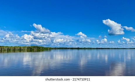 Manaus, Amazonas, Brazil. Amazon River And Its Beauties That Enchant To All Visitors. Amazonia, The Living Nature.