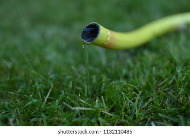 MANCHESTER / UK - JULY 2018: Yellow hosepipe with water coming out on green grass. As the hot weather continues across the UK water companies ask the public to conserve water to avoid a hosepipe ban.