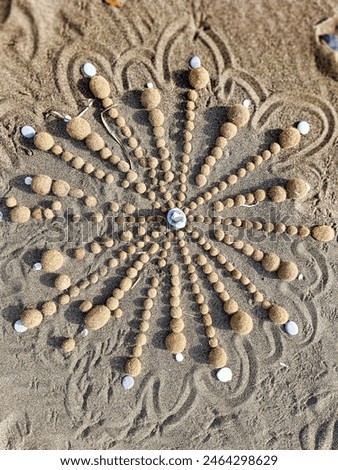 Mandala made with shells and seaweed on the beach of Marina di Castagneto Carducci Tuscany Italy