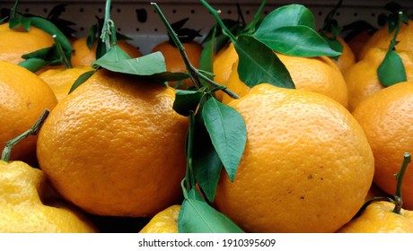 Mandarin Oranges With Leaves On Store Chiller