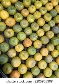 Mandarin Oranges Or Tangerines Fruit For Sale In Local Vegetables Market. Wholesale Depot Of Exotic Fruits. Local Produce At The Farmers Market.