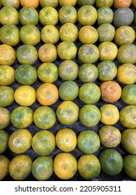 Mandarin Oranges Or Tangerines Fruit For Sale In Local Vegetables Market. Wholesale Depot Of Exotic Fruits. Local Produce At The Farmers Market.