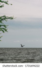 Mandeville Lakefront In Mandeville Louisiana 