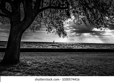 Mandeville Louisiana Lakefront