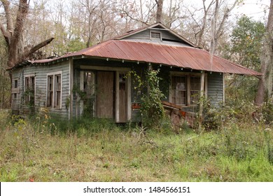 Mandeville, Louisiana, United States - January 28, 2013: A Louisiana Countryside Abandoned Shack With Overgrown Weeds And A Rusty Tin Roof