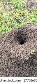 Ants use their jaws (mandibles) to excavate earth and create tunnels. The type and size of the tunnels, chambers and anthills varies based on the species.