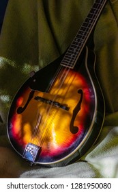mandolin bluegrass in close up
