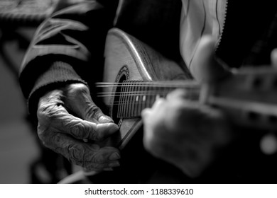 The Mandolin Player