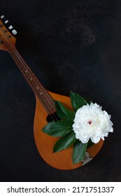 Mandolin - a stringed plucked musical instrument and a beautiful white peony flower