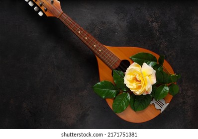 Mandolin - a stringed plucked musical instrument and a beautiful yellow tea rose flower