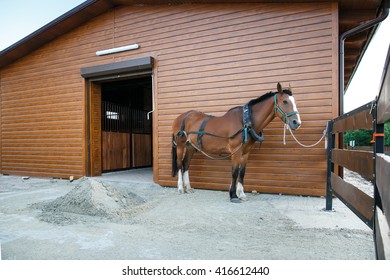manege for poni