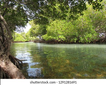 Manglillo Beach In Guanica Puerto Rico