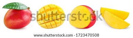 Mango collection. Mango fruits with green leaf isolated on white background. Mango with clipping path