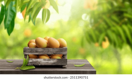 mango fruit crate with copy space on a sunny morning farm background