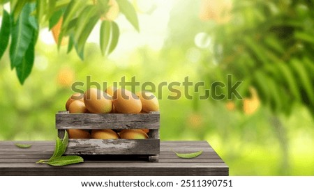 mango fruit crate with copy space on a sunny morning farm background