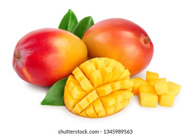 Mangue Images Stock Photos Vectors Shutterstock