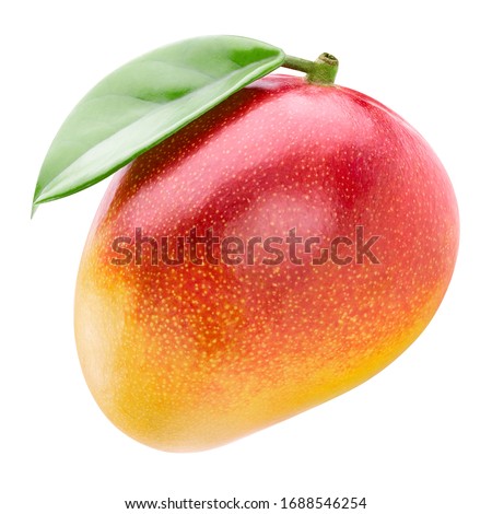 Mango fruit. Mango isolated on white background. With clipping path.