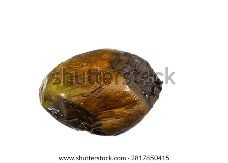 A Mango fruit with mold, mould is one of the structures that certain fungi can form, formation of spores containing fungal secondary metabolites, decaying mango, dry, discolored, disambiguation