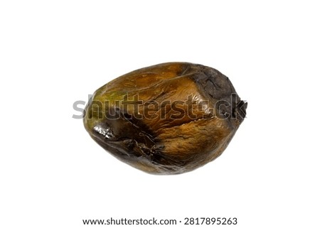 A Mango fruit with mold, mould is one of the structures that certain fungi can form, formation of spores containing fungal secondary metabolites, decaying mango, dry, discolored, disambiguation
