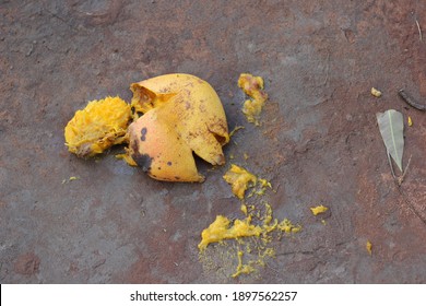 Mango Fruit Smashed On Dirt Floor