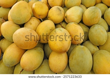 mango at fruit store fruit stand   fruiterer's