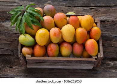 Mango fruits in wooden box with leaf after harvest from farm, Mango fruits with leaf on wood background