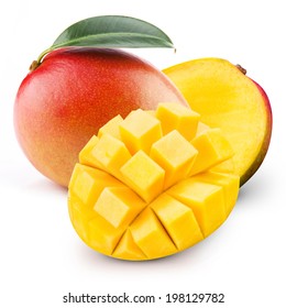 Mangue Images Stock Photos Vectors Shutterstock