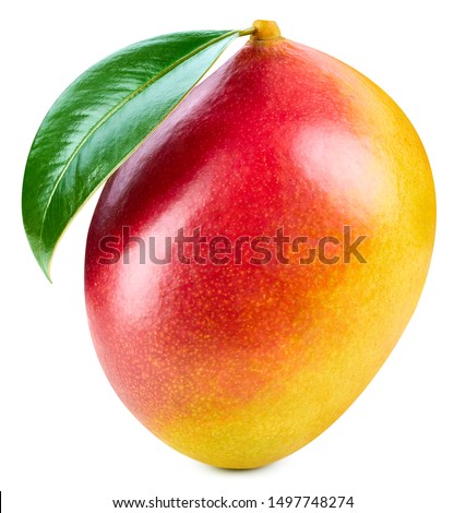 Mango isolated on white background. Ripe mango Clipping Path. Mango with leaf