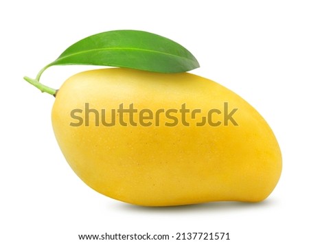 Mango isolated. One ripe yellow mango with a green leaf on a white background.