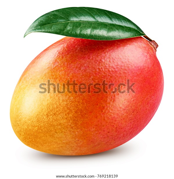 Mango Leaf Isolated On White Background Stock Photo (Edit Now) 769218139